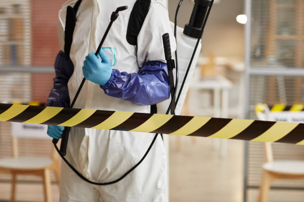 Professional Sewage Cleanup technician working in Milton, FL
